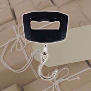 Alpha SRS550 luggage scale with handle and hook