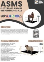Animal Weighing Scale