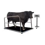 Animal-Weighing-Scal