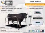 Animal Scale
