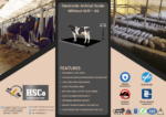 Leaflet for the HSCo AS electronic animal scale without grill, with features
