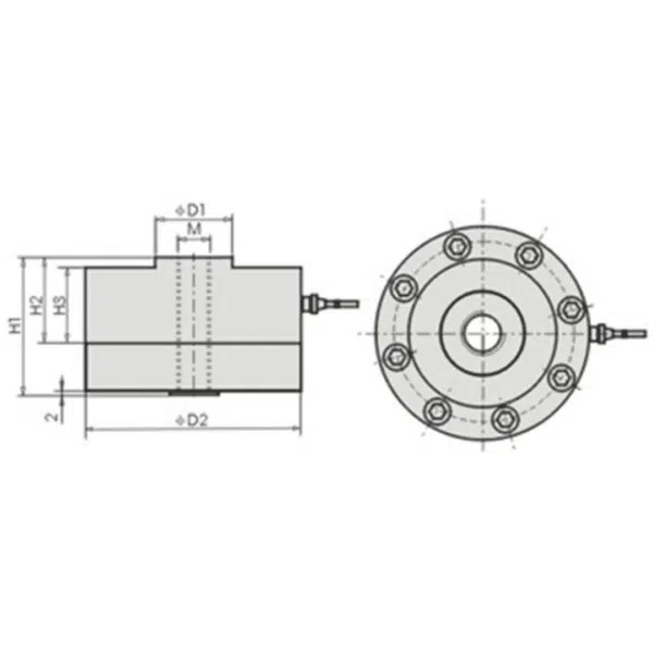 Pan Cake Load Cell - Hindustan Scale Company