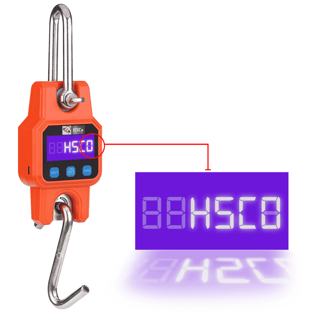 Hanging Scale