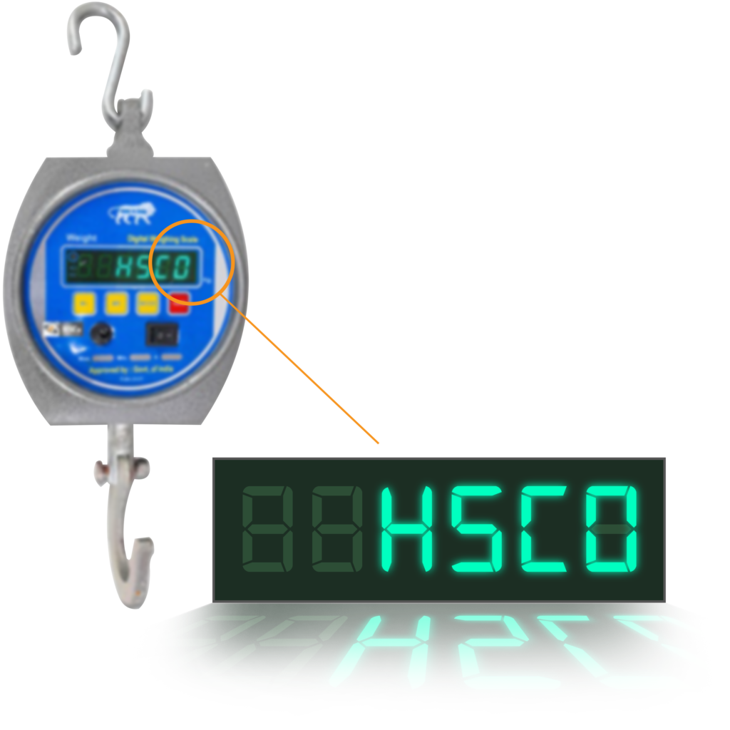 Hanging Scale