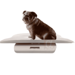 SRSP130 pet scale with a bulldog on the curved tray