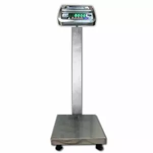Gym Platform Scale