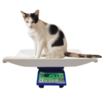 Cat sitting on the curved white tray of the HSCo MSMPS electronic pet scale