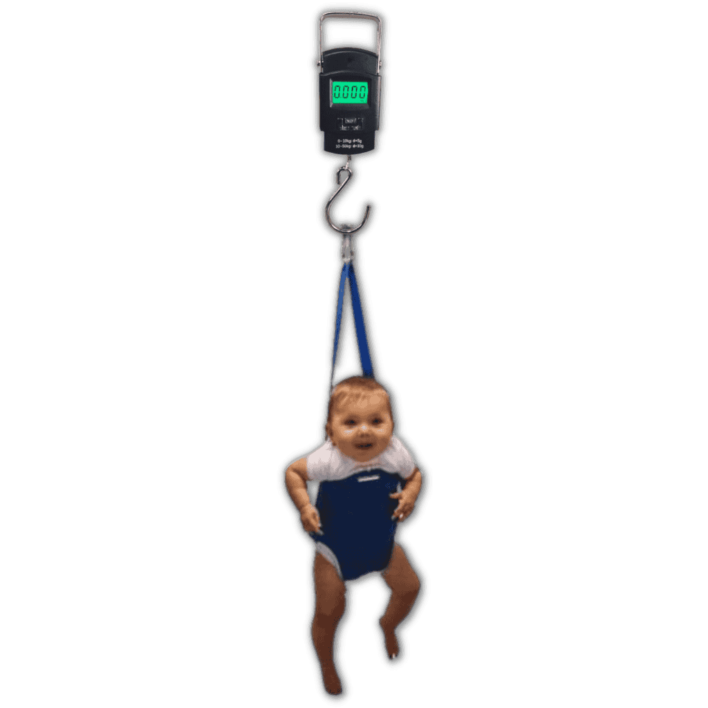 Electronic Baby Hanging Scale