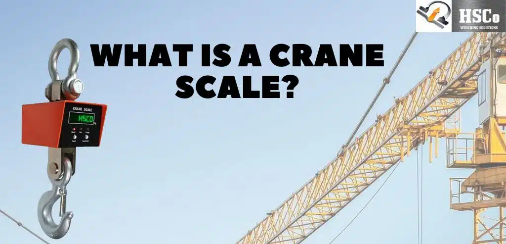 crane scale