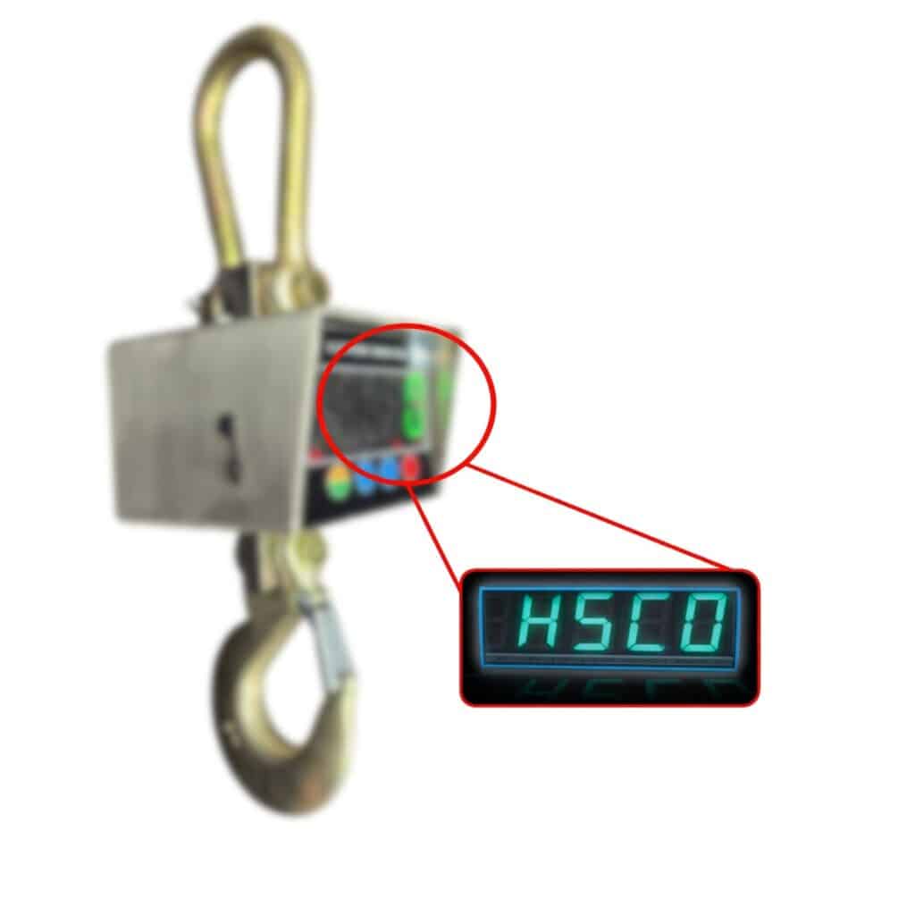 Stainless Steel Water Proof Crane Scale