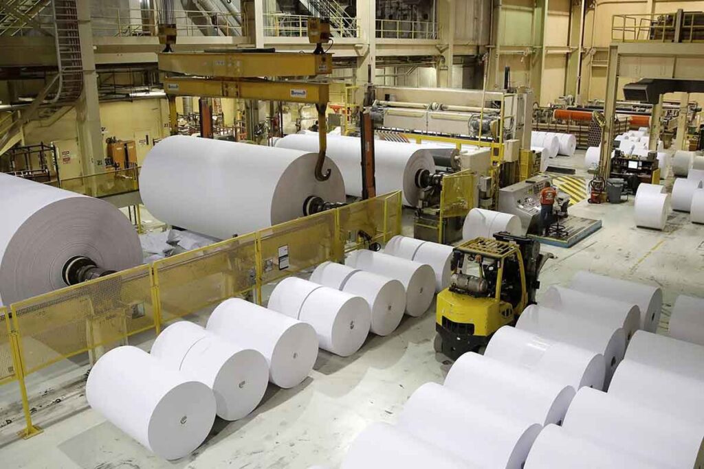 paper&pulp