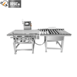 Heavy Weight Check Weigher - view 3