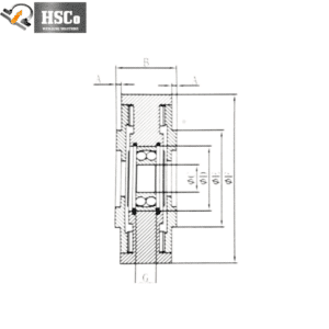 LCZL-1 tension sensor section drawing