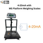 4-20 type Customized Scale - view 2