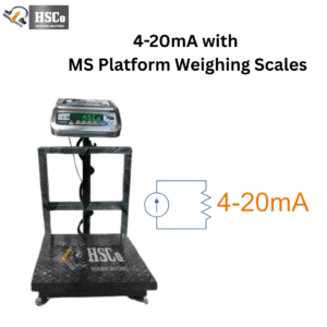 4-20 type Customized Scale - view 2