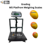 HSCo MS platform mango grading scale with raised digital display and Grade A, B and C mango examples