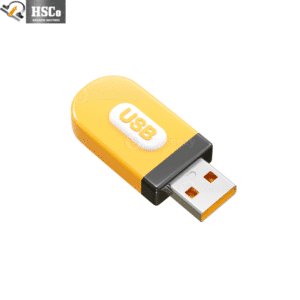 USB flash drive illustration for the HSCo weighing scale USB connectivity add-on