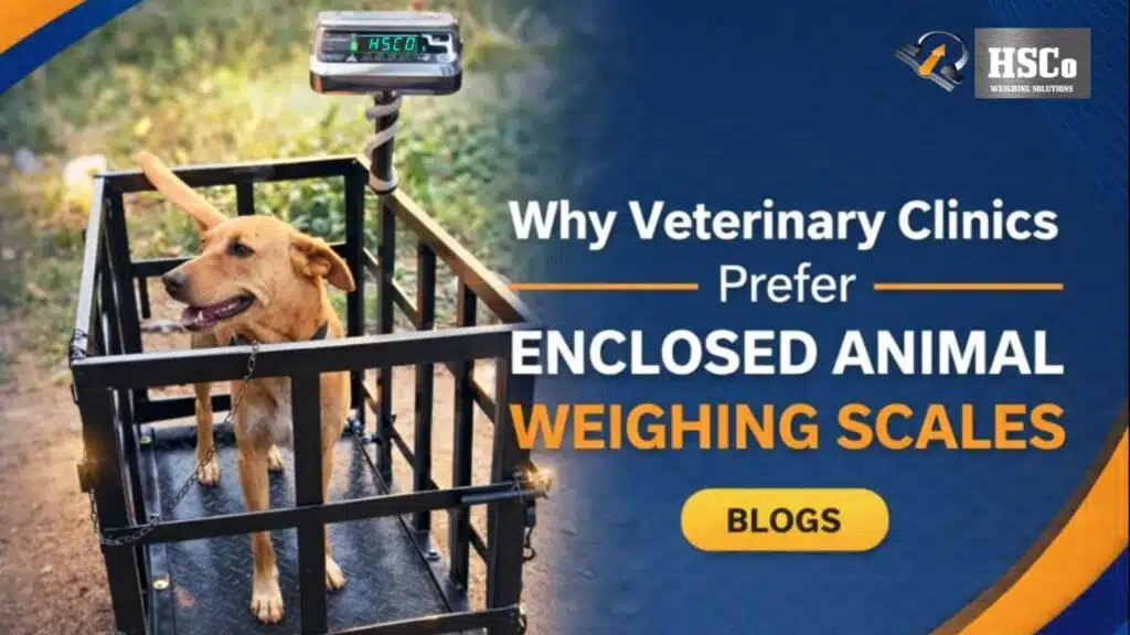 Why Veterinary Clinics Prefer Enclosed Animal Weighing Scales