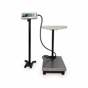 Baby Cum Adult Scale