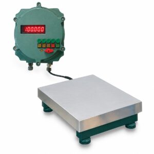 Explosion Proof Scale