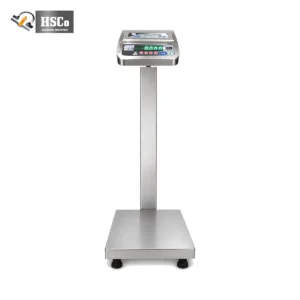 Gym Platform Scale